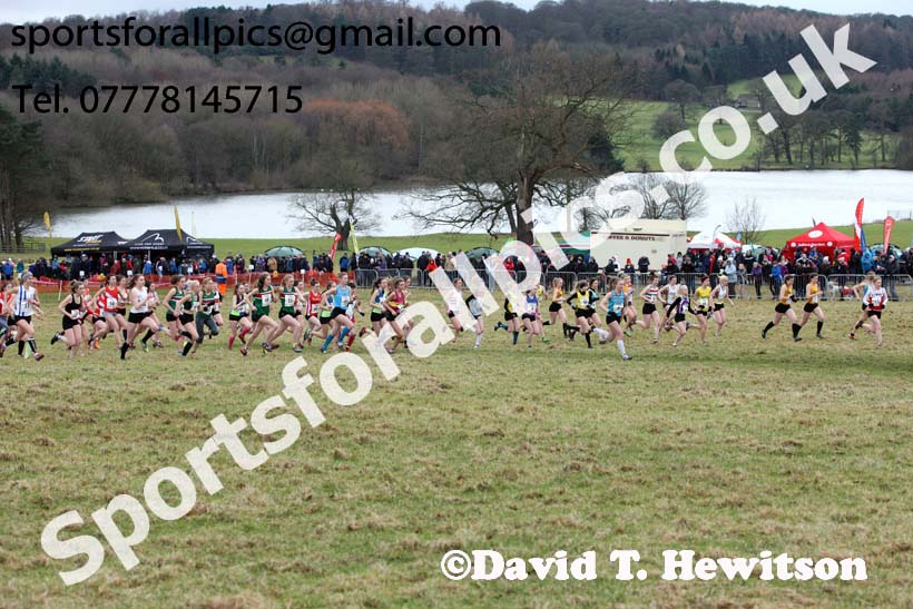 Junior womens 2018 Northern Cross Country Champs., Harewood House, Leeds. Photo: David T. Hewitson/Sports for All Pics